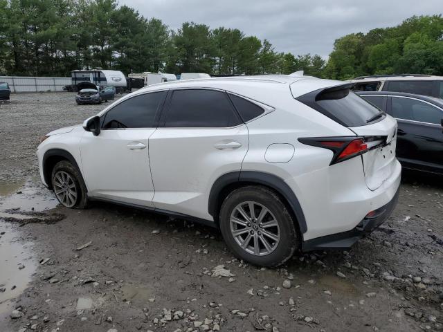 JTJBARBZ0J2166172 - 2018 LEXUS NX 300 BASE Ağ foto 2