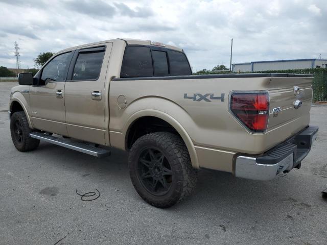 1FTFW1ETXEKF88941 - 2014 FORD F150 SUPERCREW TAN photo 2