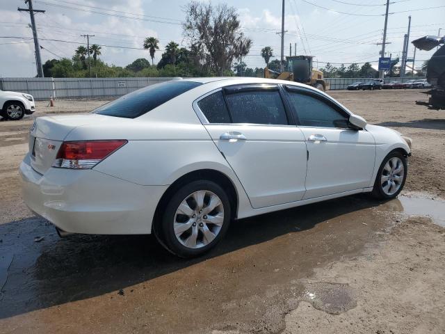 5KBCP3F88AB016880 - 2010 HONDA ACCORD EXL WHITE photo 3