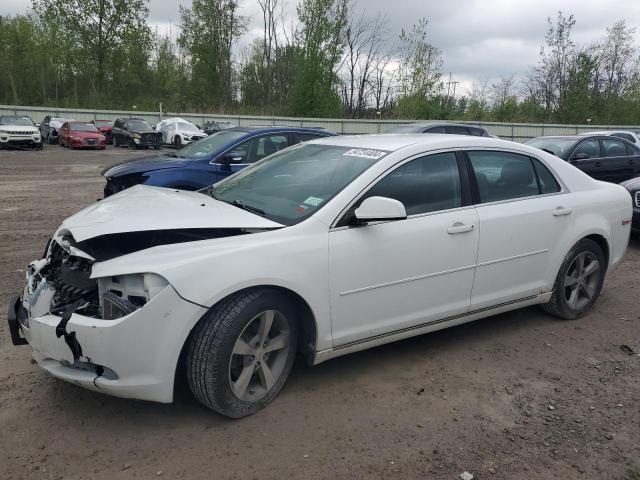 2011 CHEVROLET MALIBU 1LT, 