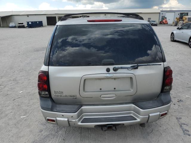 1GNDT13S452335227 - 2005 CHEVROLET TRAILBLAZE LS SILVER photo 6