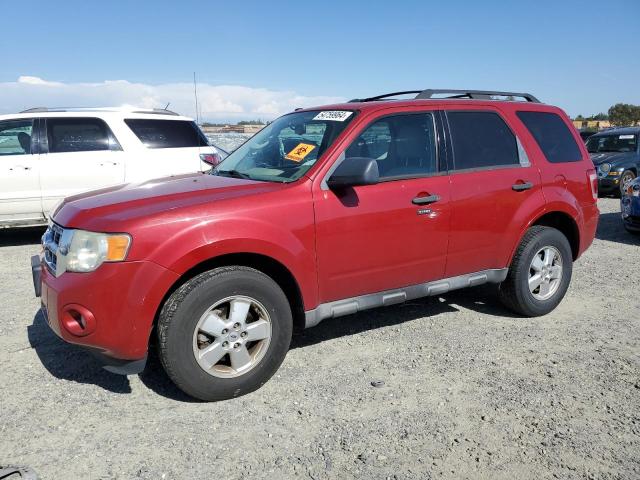 2010 FORD ESCAPE XLT, 