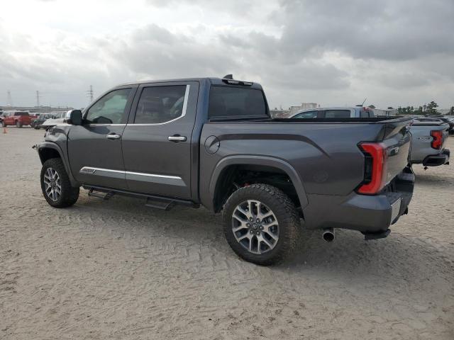5TFMA5DB5SX247306 - 2025 TOYOTA TUNDRA CREWMAX PLATINUM GRAY photo 2