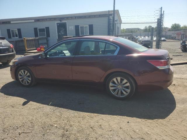 1HGCP2F81CA146084 - 2012 HONDA ACCORD EXL RED photo 2