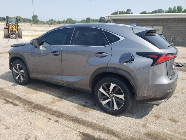 JTJGARBZ9L2166941 - 2020 LEXUS NX 300 GRAY photo 2