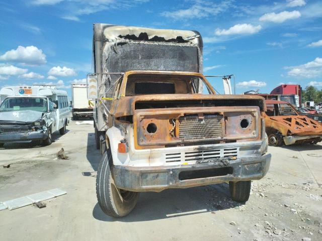 1GDG7D1B8GV525768 - 1986 GMC C7000 C7D042 WHITE photo 9