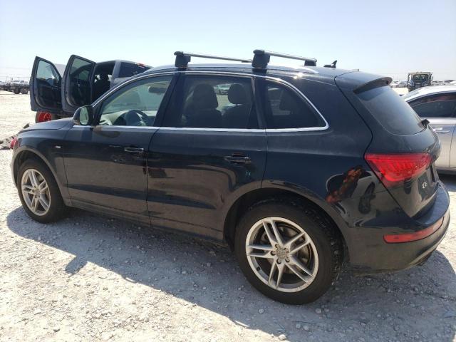 WA1DGAFP6DA059037 - 2013 AUDI Q5 PREMIUM PLUS BLACK photo 2
