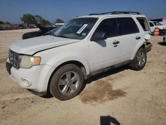 2010 FORD ESCAPE XLT, 