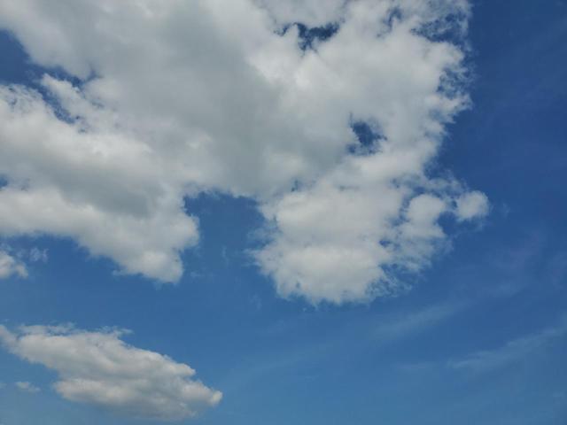 3C6TRVDG8LE101278 - 2020 RAM PROMASTER 2500 HIGH WHITE photo 8