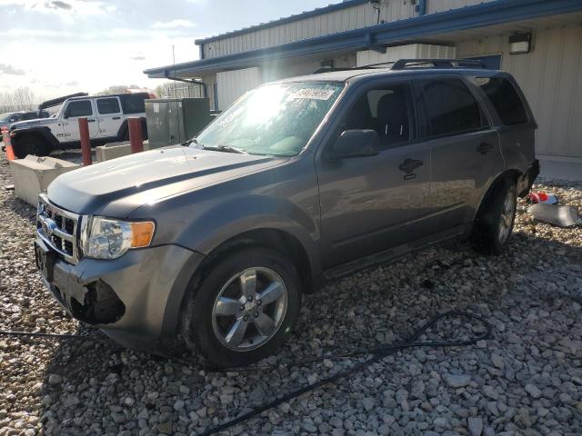 2012 FORD ESCAPE XLT, 