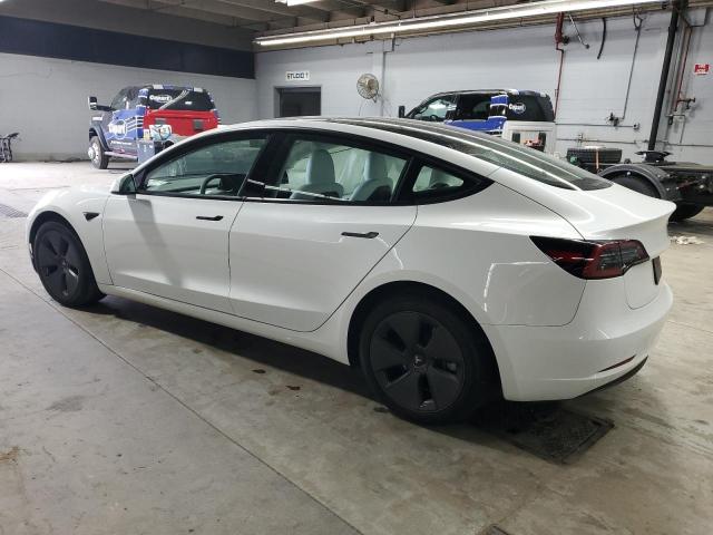 5YJ3E1EA0PF696960 - 2023 TESLA MODEL 3 Blanco foto 2