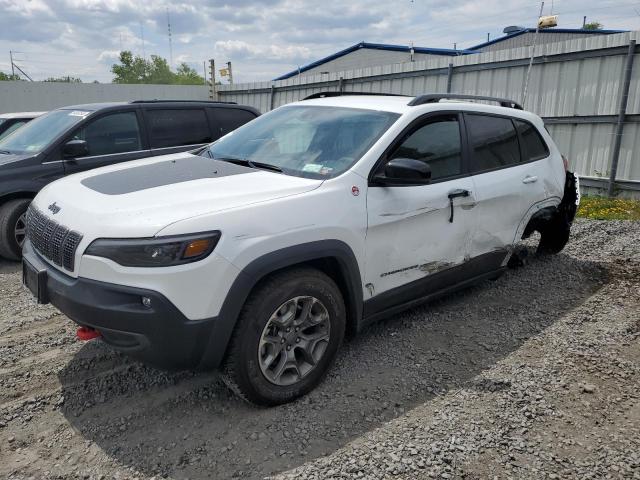 1C4PJMBX4ND541937 - 2022 JEEP CHEROKEE TRAILHAWK WHITE photo 1