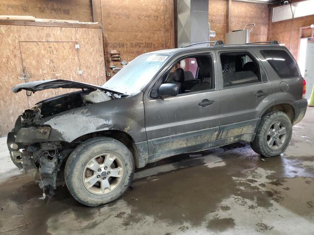 1FMCU93135DA03920 - 2005 FORD ESCAPE XLT GRAY photo 1