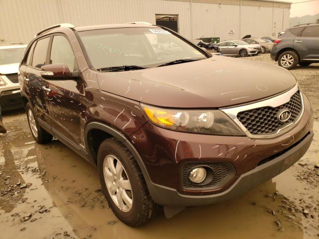 5XYKTDA14BG101229 - 2011 KIA SORENTO BASE BURGUNDY photo 4