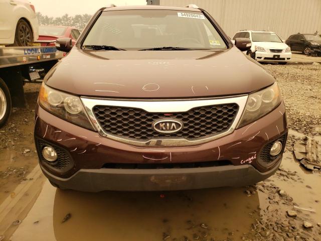 5XYKTDA14BG101229 - 2011 KIA SORENTO BASE BURGUNDY photo 5