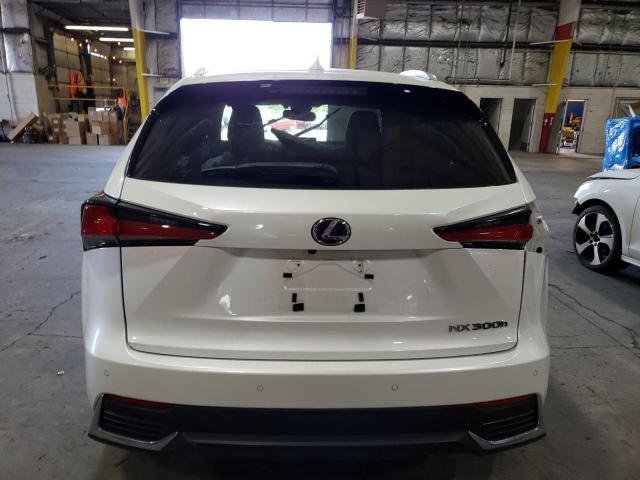 JTJBJRBZ0J2096561 - 2018 LEXUS NX 300H WHITE photo 6