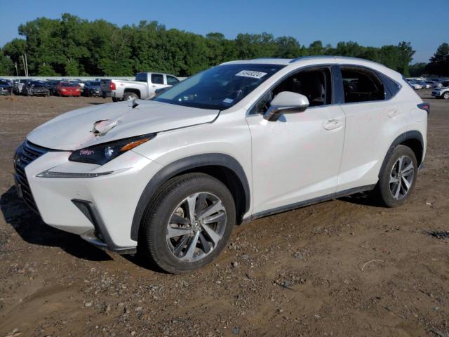 JTJYARBZ5J2110495 - 2018 LEXUS NX 300 BASE Ağ foto 1