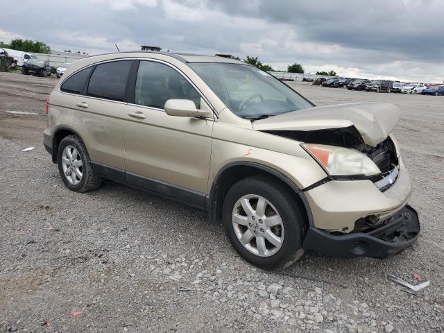 5J6RE38789L014486 - 2009 HONDA CR-V EXL GOLD photo 4