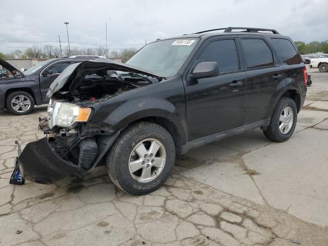 2011 FORD ESCAPE XLT, 