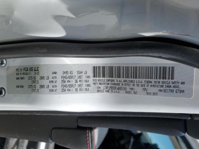 1C4PJMBS9FW665101 - 2015 JEEP CHEROKEE TRAILHAWK Ağ foto 13