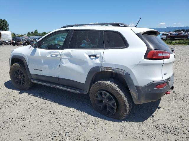 1C4PJMBS9FW665101 - 2015 JEEP CHEROKEE TRAILHAWK Ağ foto 2