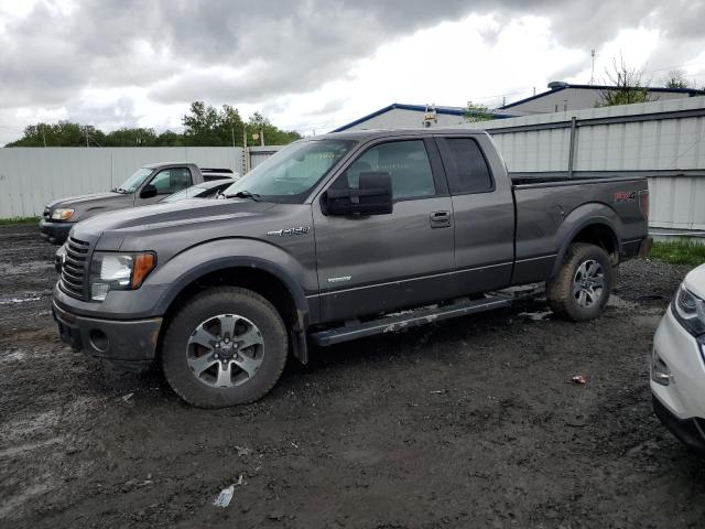 1FTFX1ET5CFB05438 - 2012 FORD F150 SUPER CAB GRAY photo 1