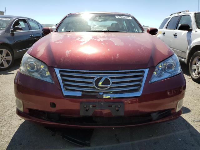 JTHBK1EG2A2371616 - 2010 LEXUS ES 350 RED photo 5