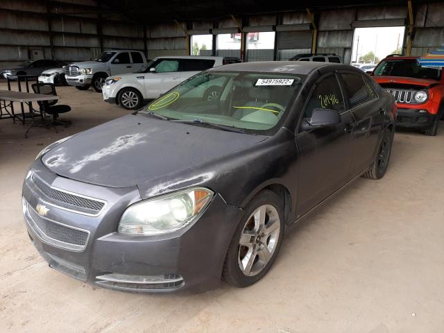 1G1ZC5EB3A4109707 - 2010 CHEVROLET MALIBU 1LT GRAY photo 2