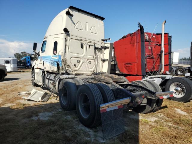 1FUJHHDR2LLKS3768 - 2020 FREIGHTLINER CASCADIA 1 CREAM photo 3