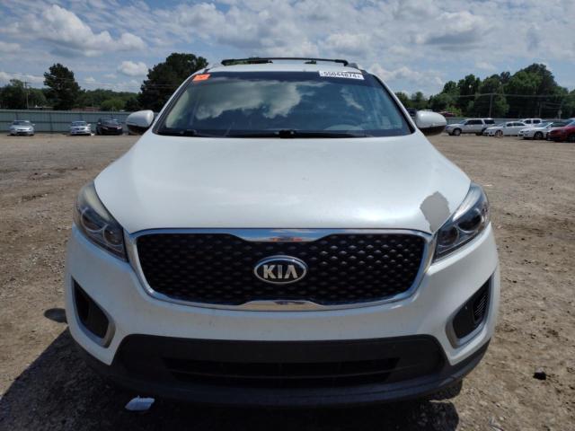 5XYPG4A36HG202454 - 2017 KIA SORENTO LX WHITE photo 5