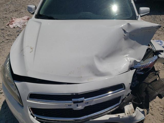 1G11D5RR7DF103502 - 2013 CHEVROLET MALIBU 1LT 白色 照片 11
