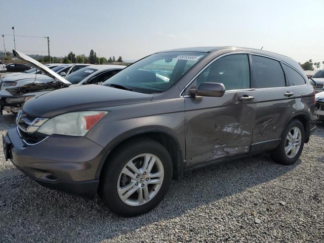 2010 HONDA CR-V EXL, null
