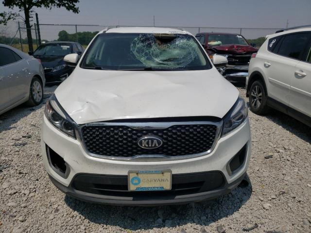 5XYPGDA3XHG253021 - 2017 KIA SORENTO LX WHITE photo 5