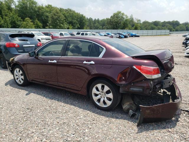 5KBCP3F81AB006935 - 2010 HONDA ACCORD EXL BURGUNDY photo 2