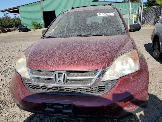 5J6RE3H3XBL060369 - 2011 HONDA CR-V LX BURGUNDY photo 5