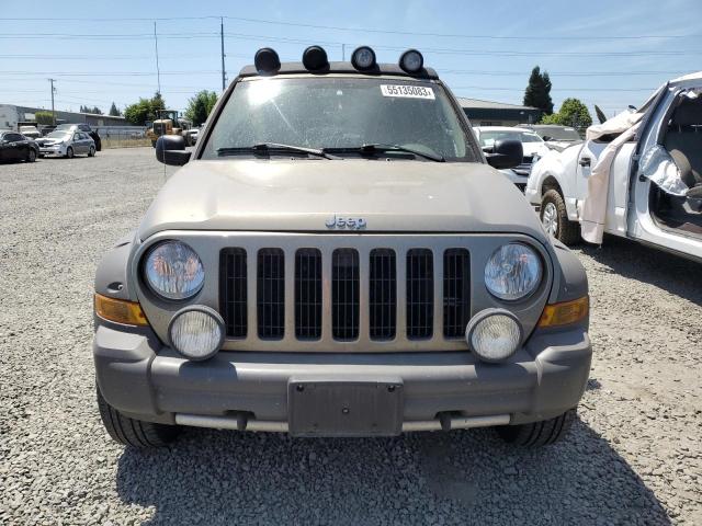 1J4GL38K16W108463 - 2006 JEEP LIBERTY RENEGADE BEIGE photo 5