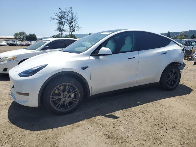 2024 TESLA MODEL Y, null
