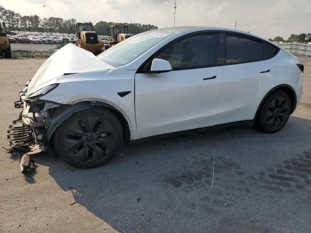 2024 TESLA MODEL Y, null