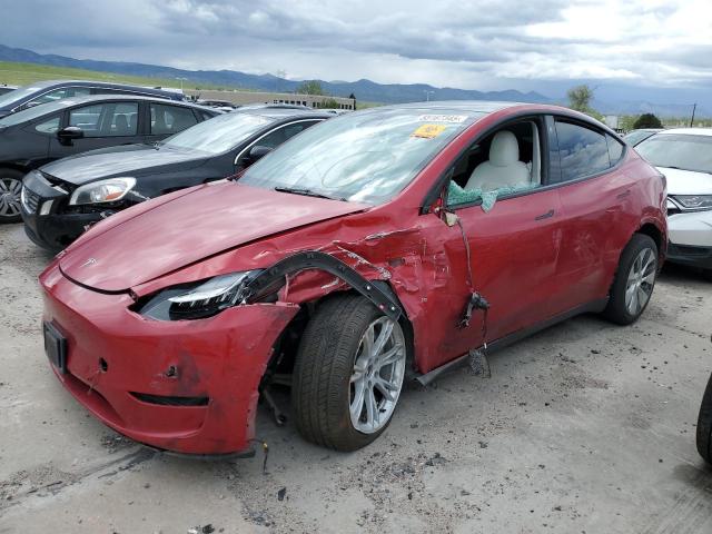 2021 TESLA MODEL Y, null