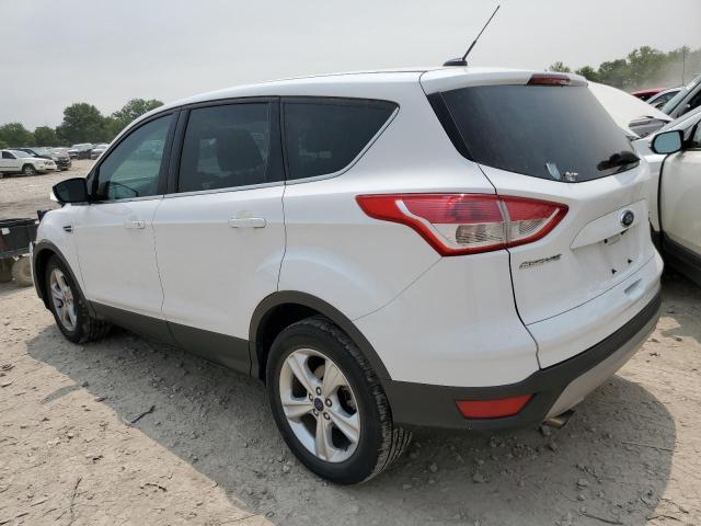 1FMCU0G99EUE06750 - 2014 FORD ESCAPE SE WHITE photo 2