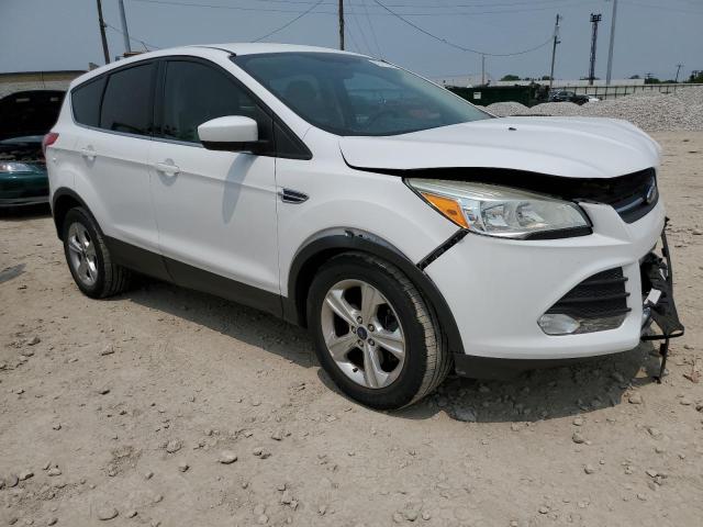 1FMCU0G99EUE06750 - 2014 FORD ESCAPE SE WHITE photo 4