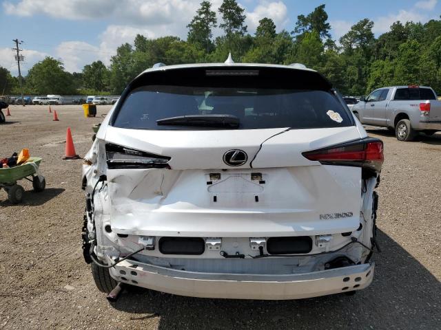 JTJDARBZ1M5022125 - 2021 LEXUS NX 300 BASE Ақ фото 6