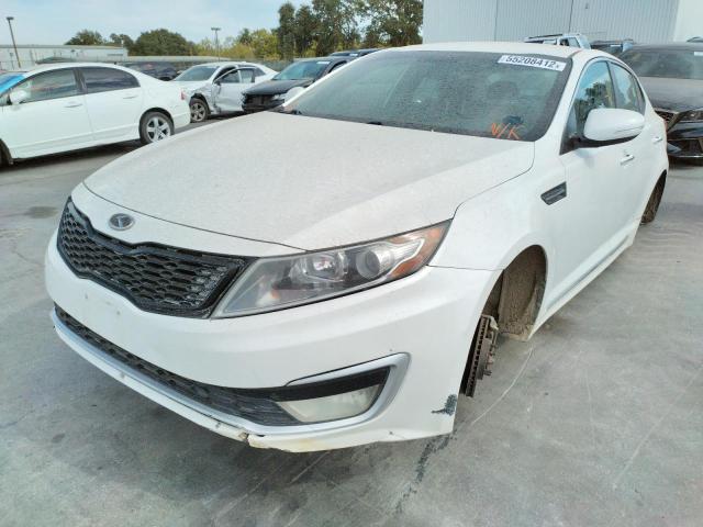 KNAGM4AD3B5006177 - 2011 KIA OPTIMA HYBRID WHITE photo 2