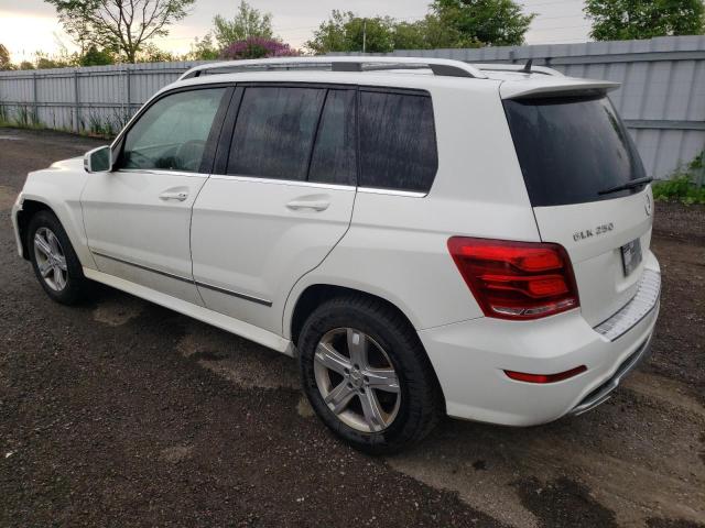 WDCGG0EB5FG377812 - 2015 MERCEDES-BENZ GLK 250 BLUETEC WHITE photo 2