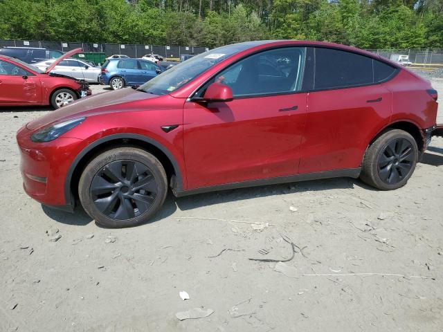 2024 TESLA MODEL Y, null