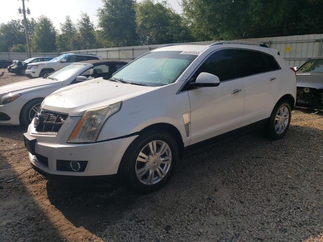 3GYFNBEY3BS595339 - 2011 CADILLAC SRX PERFORMANCE COLLECTION Ақ фото 1