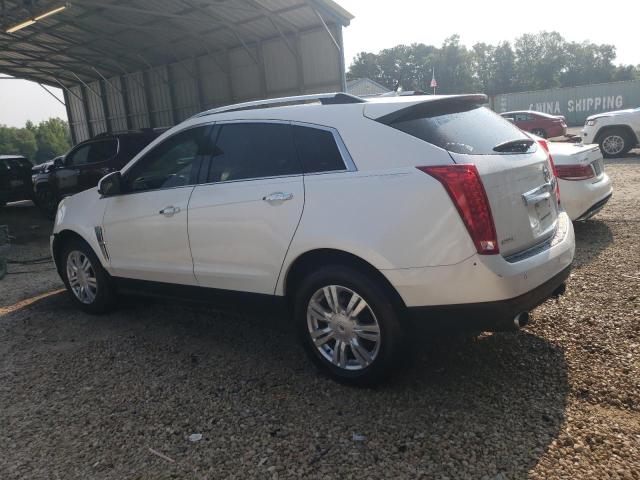 3GYFNBEY3BS595339 - 2011 CADILLAC SRX PERFORMANCE COLLECTION Ақ фото 2