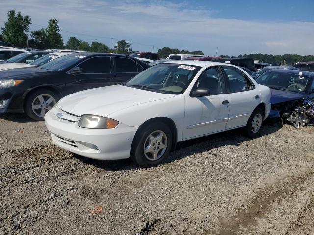 1G1JC52F337247771 - 2003 CHEVROLET CAVALIER WHITE photo 1