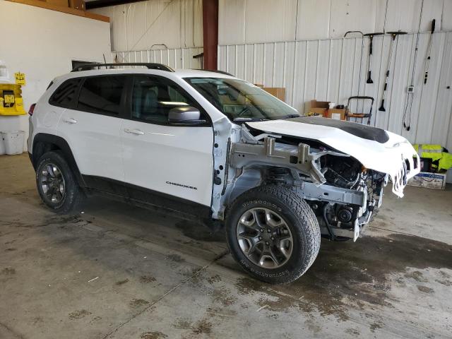 1C4PJMBX7KD328380 - 2019 JEEP CHEROKEE TRAILHAWK Ağ foto 4