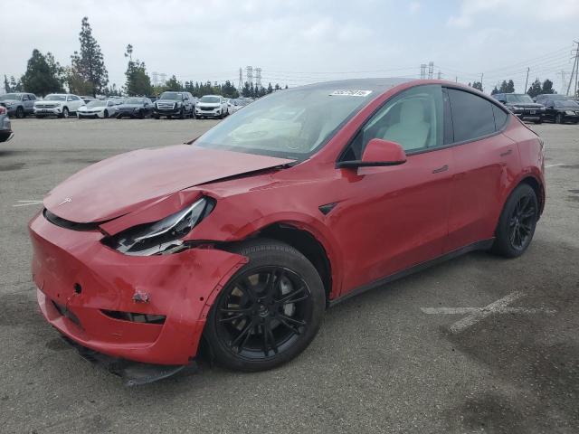 2021 TESLA MODEL Y, null